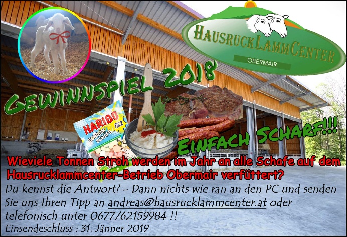 Gewinnspiel_Bild