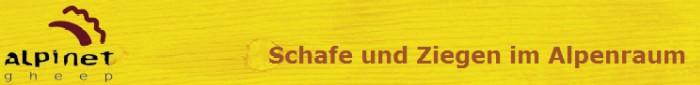 alpinet